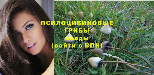 крисы Зеленокумск