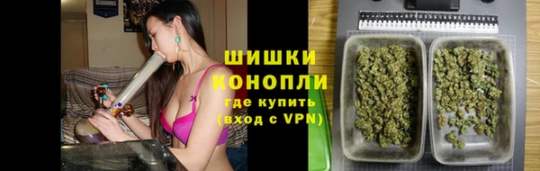 амф Ельня
