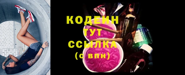 дживик Заводоуковск