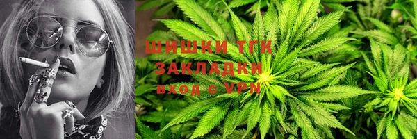 крисы Зеленокумск